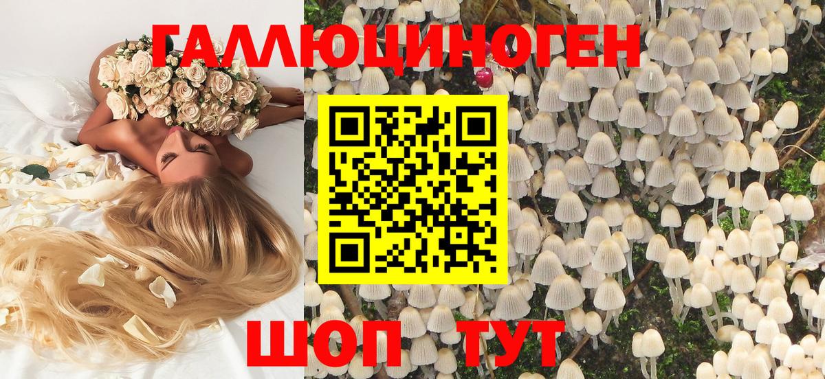 продажа наркотиков  Галлюциногенные грибы Psilocybe  Реж  Вход с VPN  Галлюциногенные грибы Cubensis 