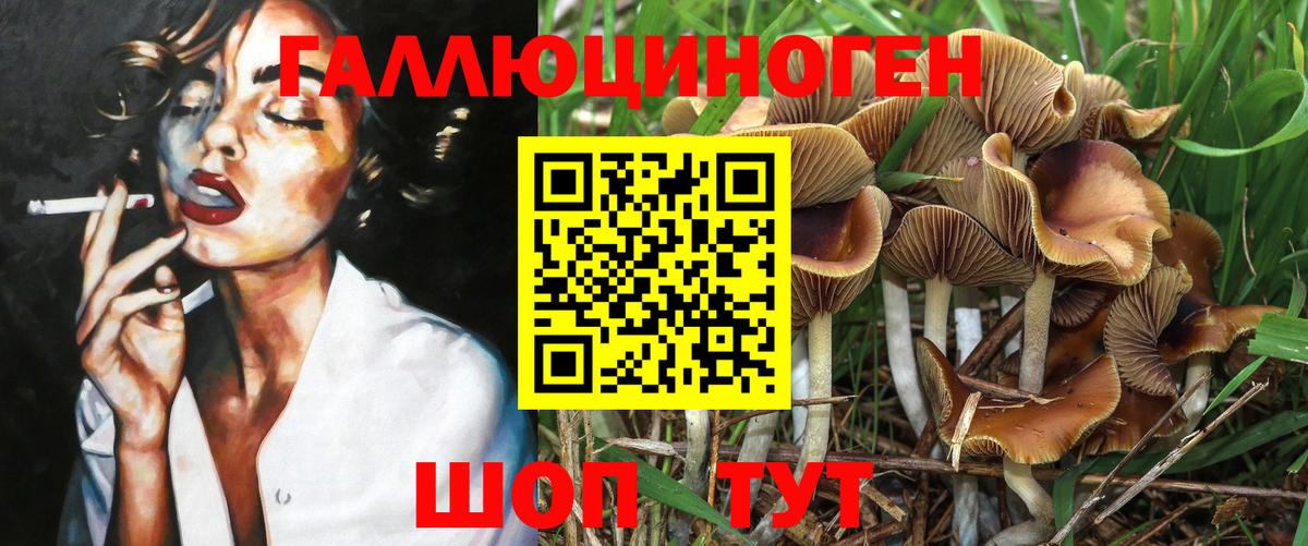 Галлюциногенные грибы Cubensis Реж